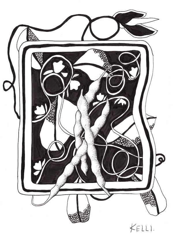 Drawing of beans by Kelli Foret. Drawing of beans by Kelli Foret.