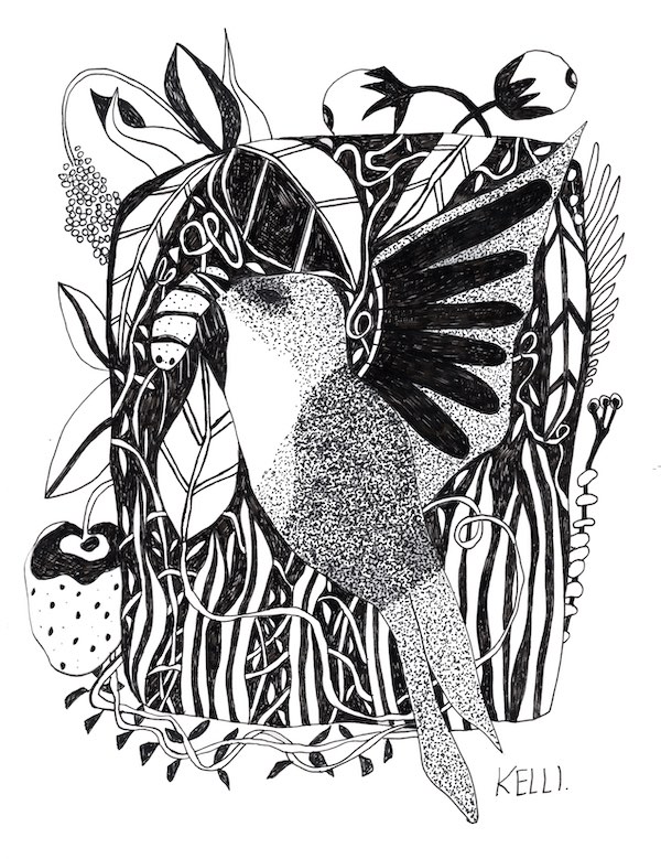 Drawing of bird and berries by Kelli Foret. Drawing of bird and berries by Kelli Foret.