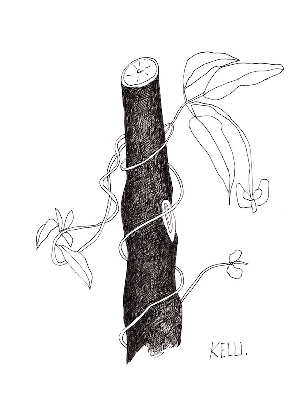 Drawing of climbing by Kelli Foret. Drawing of climbing by Kelli Foret.