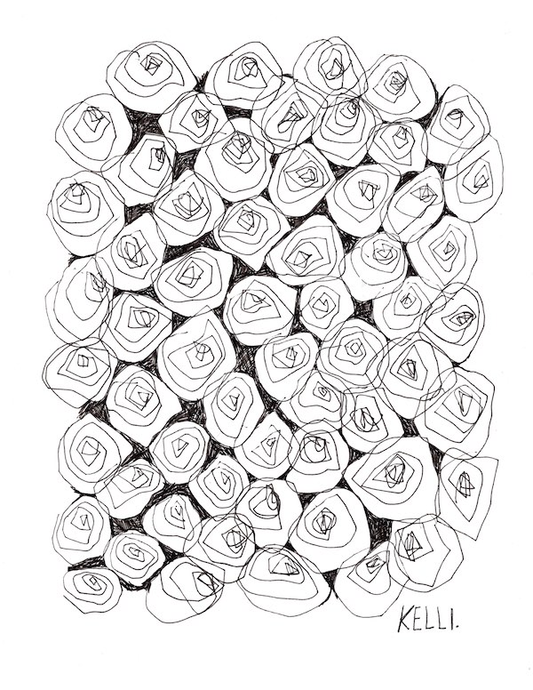 Drawing of cabbage by Kelli Foret. Drawing of cabbage by Kelli Foret.