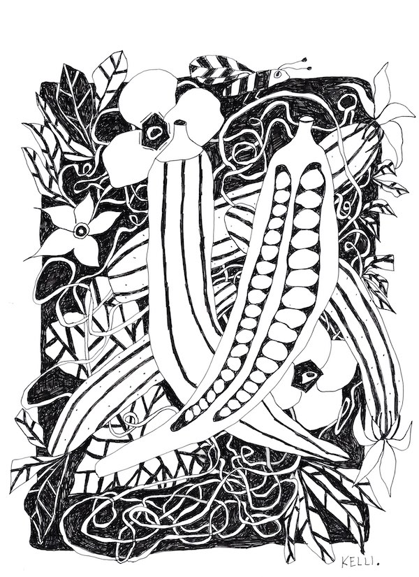 Drawing of orka and cucus by Kelli Foret. Drawing of orka and cucus by Kelli Foret.