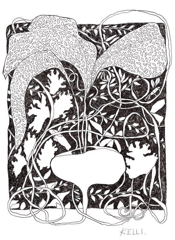 Drawing of roots by Kelli Foret. Drawing of roots by Kelli Foret.