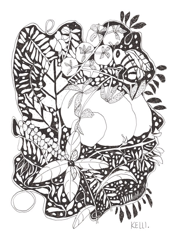 Drawing of Tomato and Basil by Kelli Foret. Drawing of Tomato and Basil by Kelli Foret.