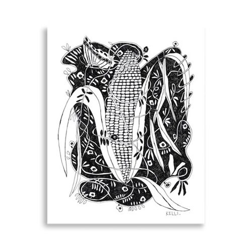 Corn, beans and squash illustration by Kelli. Corn, beans and squash illustration by Kelli.