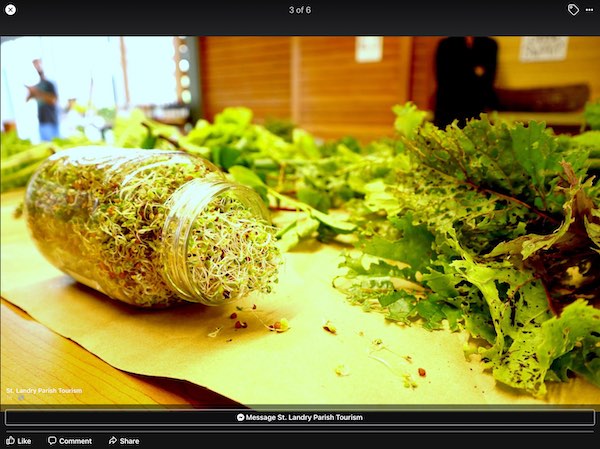 Exhibition shot for Kelli Foret Richard. Exhibition shot for Kelli Foret Richard.